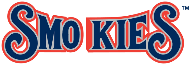 Tennessee Smokies 2000-2014 Wordmark Logo iron on heat transfer